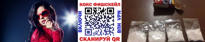 COCAIN Fish Scale  купить   Вихоревка 