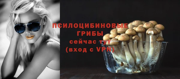 спиды Володарск