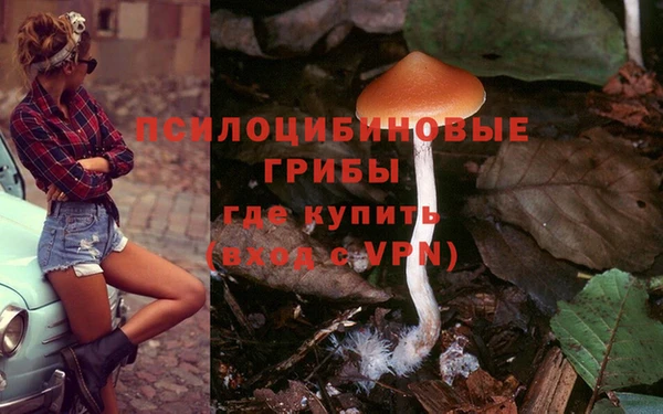 спиды Володарск