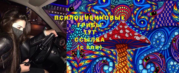 спиды Володарск
